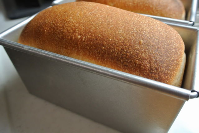 食パンの最終発酵はどのタイミングで焼きますか？【自家製酵母パン教室：奈良】
